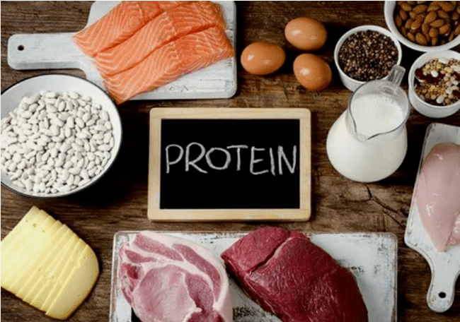 Protein Diät Produkter